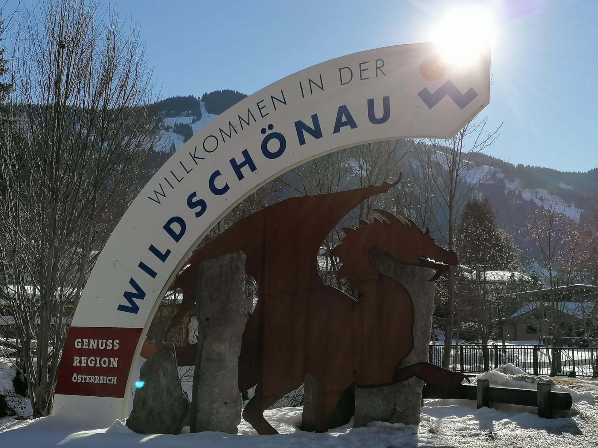 Ferienwohnung Wildschoenau By Fewo-Plan In Panoramalage Wild191 Thierbach Экстерьер фото